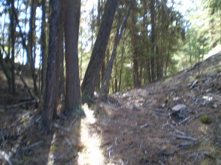 After a series of paths heading up took this path going between two high points, Yellow Lake Trail 2014-09.